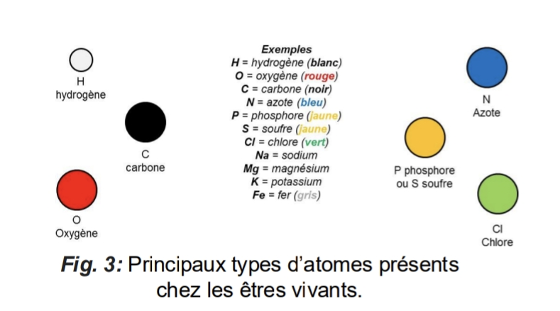 atomes_couleur